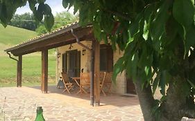 Casa Edera